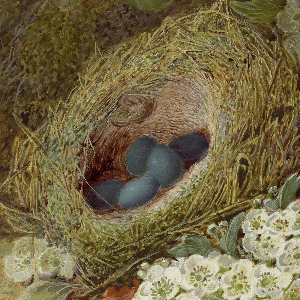 vincent_clare_e1531_still_life_of_flowers_and_birds_nest_detail.jpg