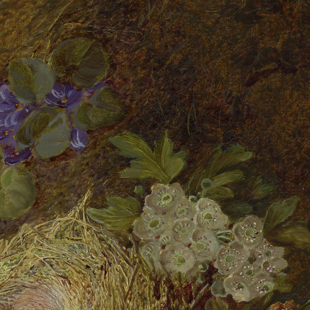 vincent_clare_e1531_still_life_of_flowers_and_birds_nest_detail2.jpg