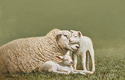 A Mother\'s Love and Security II - Alexandra Klimas