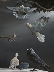 Housesparrow - Alexandra Klimas