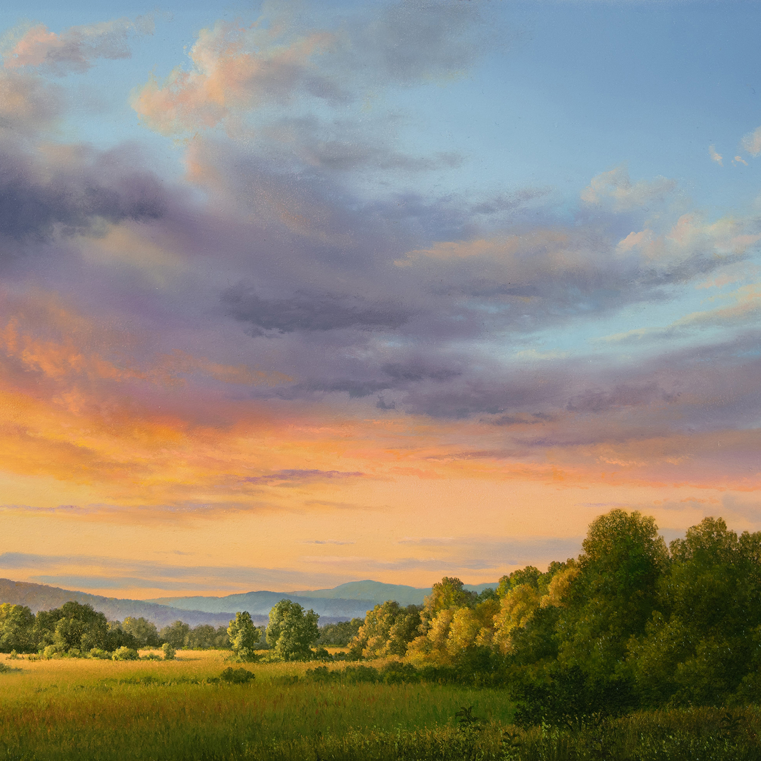 Andrew Orr