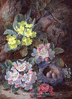 Still Life of Bird\'s Nest and Primroses - Clare, Oliver
