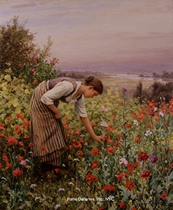 Girl Picking Poppies - Knight, Daniel Ridgway