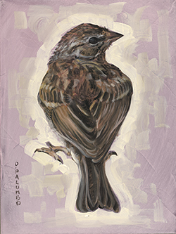Sparrow - Palumbo David