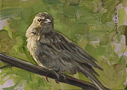 Sparrow #2 - David Palumbo