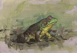 Green Frog - Palumbo, David