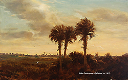 Florida Palm at Sunset - Erik Koeppel