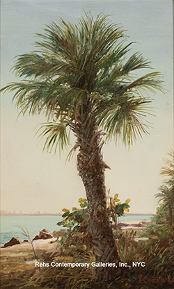 Lone Palm, Ft. Pierce, FL. - Erik Koeppel