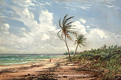 Caribbean Shore - Erik Koeppel