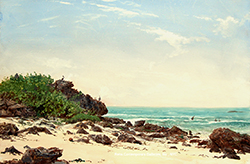 Tropical Beach Study - Erik Koeppel