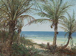Coconut Palms  - Erik Koeppel