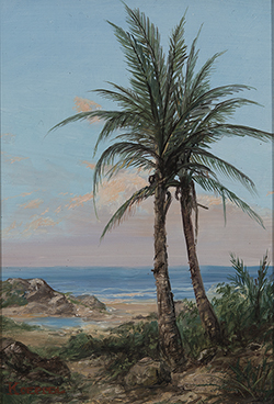 Palm in Evening Light - Erik Koeppel