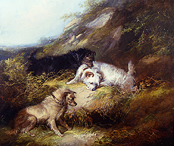Terriers Rabbiting - Armfield, George