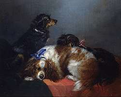 Two King Charles Spaniels and a Terrier