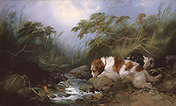 Three Dogs by a Brook - Armfield, George