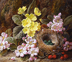 george_clare_a3450_apple_blossom_primroses_and_birds_nest_small.jpg