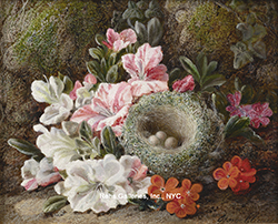 george_clare_e1381_still_life_of_flowers_and_birds_nest_wm_small.jpg