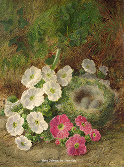 Bird\'s Nest and Flowers on a Mossy Bank - George Clare