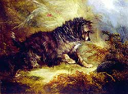 A Terrier and a Hedgehog - Armfield, George