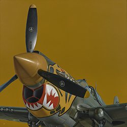 P-40 - Hollingsworth James Neil