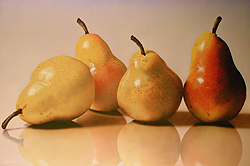 4 Yellow Pears