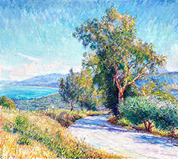 Eucalyptus Bay - Leo Mancini-Hresko