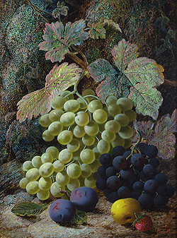oliver_clare_a2499_still_life_of_fruit_small.jpg