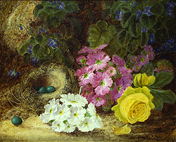 oliver_clare_a3033_still_life_with_birds_nest_small.jpg