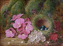 Bird\'s Nest with Flowers - Clare, Oliver