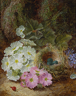 Flowers, a Berry and a Bird
