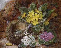 Still Life of Primroses and Bird\'s Nest - Clare, Oliver