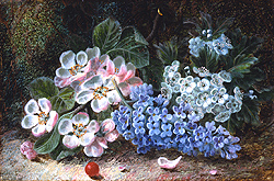 Lilacs and Apple Blossom - Clare, Oliver