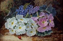 Still Life of Flowers - Clare, Oliver