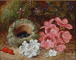 Flowers and a Bird\'s Nest - Clare, Oliver
