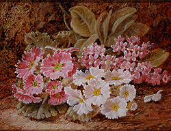 oliver_clare_a3461_still_life_of_flowers_small.jpg