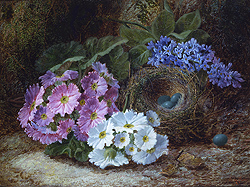Still Life of Flowers and Bird\'s Nest - Clare, Oliver