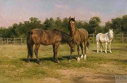 Horses Grazing - Bonheur Rosa