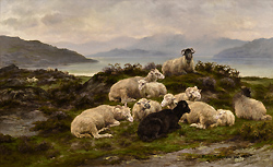 Sheep Resting in a Landscape - Bonheur Rosa