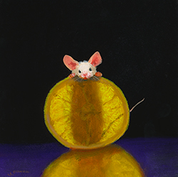 Lemon X-ray - Dunkel, Stuart