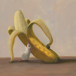 Going Bananas - Dunkel, Stuart