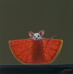 Grapefruit Xray 35 - Dunkel, Stuart