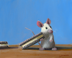 Cookie Time - Stuart Dunkel