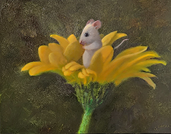 Petal Fun - Stuart Dunkel