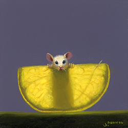 Lemon Xray - Stuart Dunkel