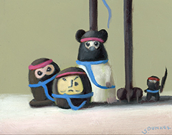 5 Ninjas - Stuart Dunkel