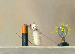 Science Experiment, 2026 - Stuart Dunkel