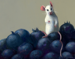 Blueberry Hill, 2026 - Dunkel Stuart