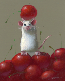 Best Cherry, 2026 - Dunkel Stuart
