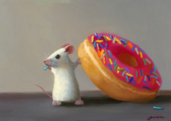 Donut Tester, 2026 - Dunkel Stuart