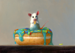 Donut Snack, 2026 - Dunkel Stuart